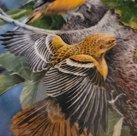 ENCYCLOPEDIA BRITANNICA "BIRDS IN YOUR GARDEN" COLLECTORS PLATE 12650C LIMITED - Picture 3 of 11